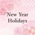 NEW YEAR HOLIDAYS